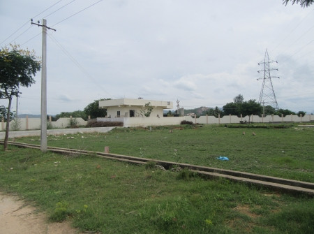 East Facing